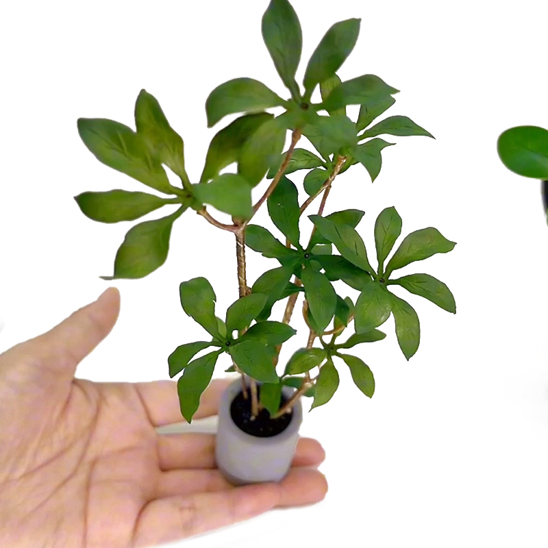 ドールハウスミニチュア鉢植えモデル、緑の葉、植木鉢、盆栽、家 - Bonsai Garden Miniature のレビューと価格