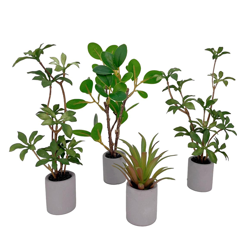 ドールハウスミニチュア鉢植えモデル、緑の葉、植木鉢、盆栽、家 - Bonsai Garden Miniature のレビューと価格