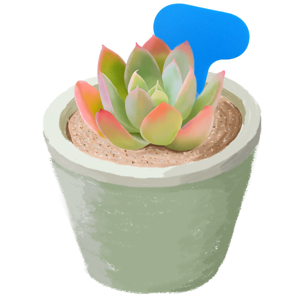 50 個園芸植物ラベルマーカー 50*70 ミリメートルカラ - Bonsai Garden Ticket のレビューと価格