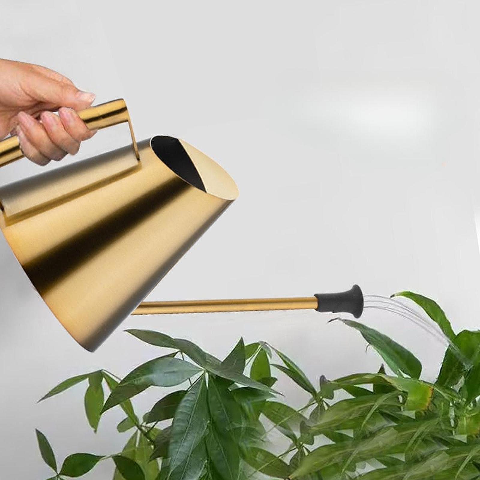 900mlじょうろスプリンクラーヘッドボトル、裏庭、盆栽、庭 - Bonsai Garden Backyard のレビューと価格